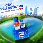 “Cây Yêu Nước” phủ xanh hơn 300 chi nhánh MB: Gieo tự hào chảy khắp non sông