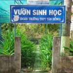 Thanh niên tiên phong trong xử lý, tái chế chất thải hữu cơ