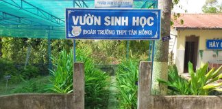 Thanh niên tiên phong trong xử lý, tái chế chất thải hữu cơ
